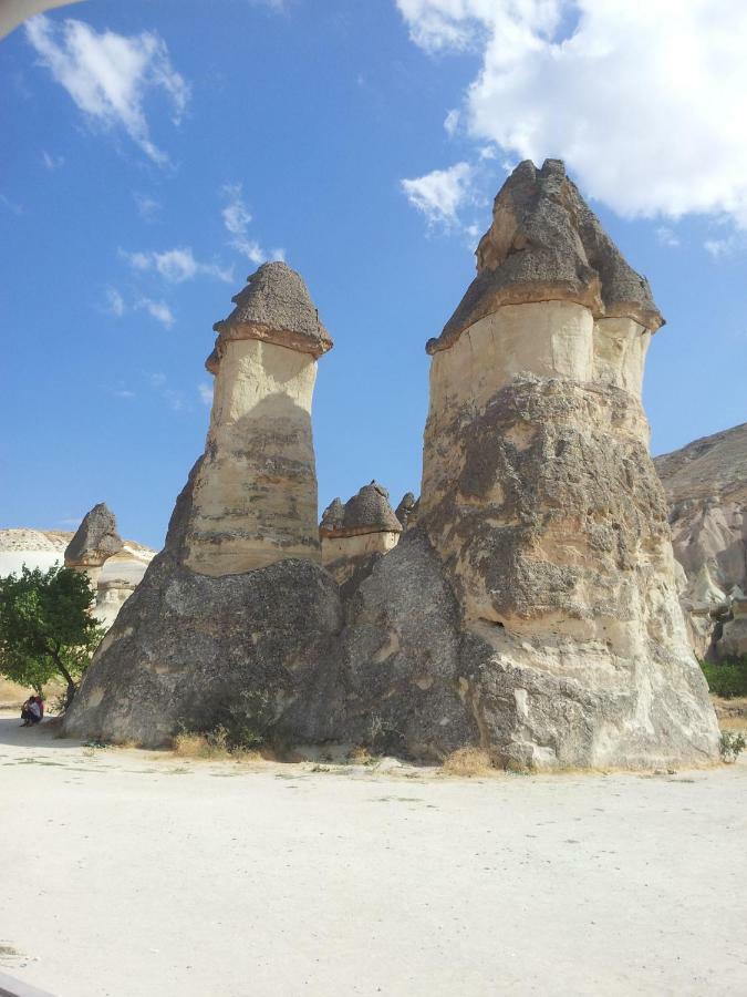 阿瓦诺斯Bayer Stone House住宿加早餐旅馆 外观 照片