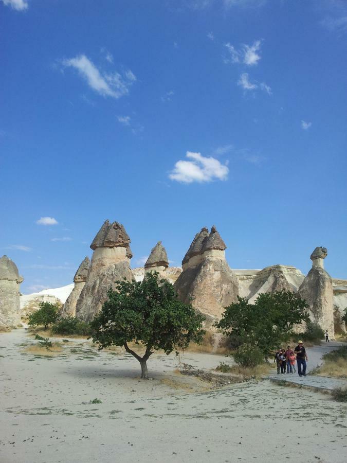 阿瓦诺斯Bayer Stone House住宿加早餐旅馆 外观 照片